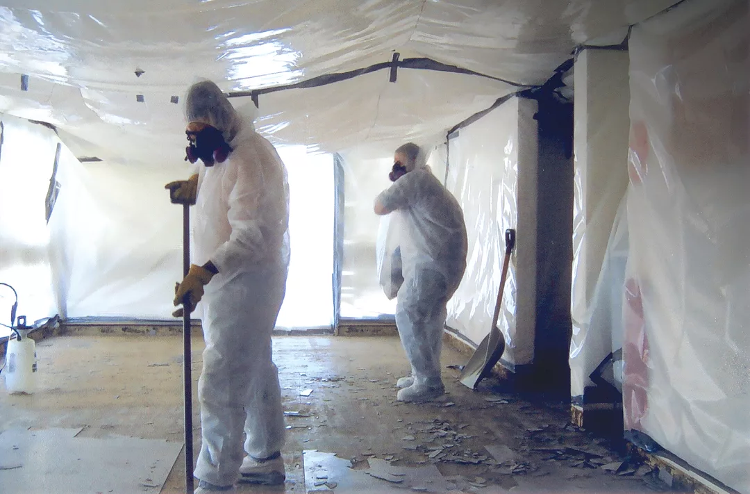 after the disaster 1