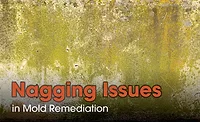 Mold remediation