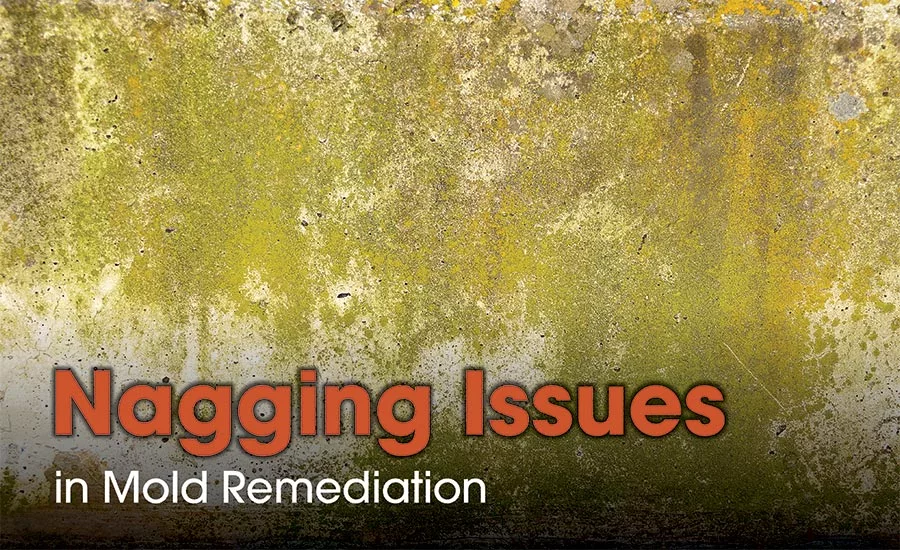 Mold remediation