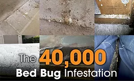 Photos courtesy of Roth Construction