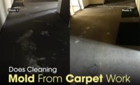 cleaning mold from carpet