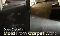 cleaning mold from carpet cleaning mold from carpet