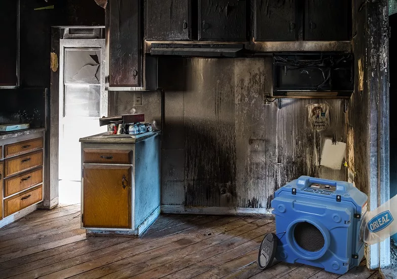 odor removal focuson 4