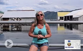 annissa document odor