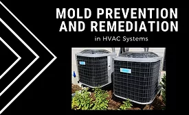 HVAC mold 