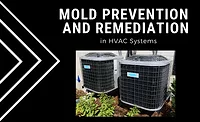 HVAC mold 