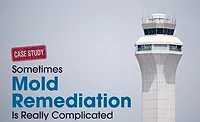Mold remediation Mold remediation