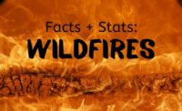 wildfire facts