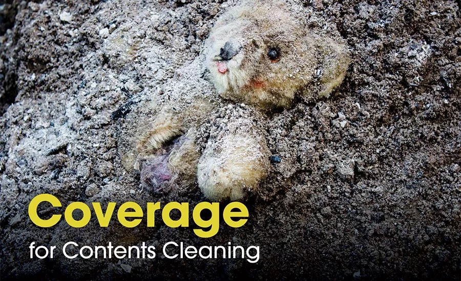 Coverage for contents cleaning