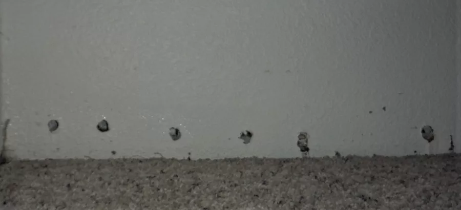 restoration tools drying 5