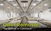 Cannabis odor removal