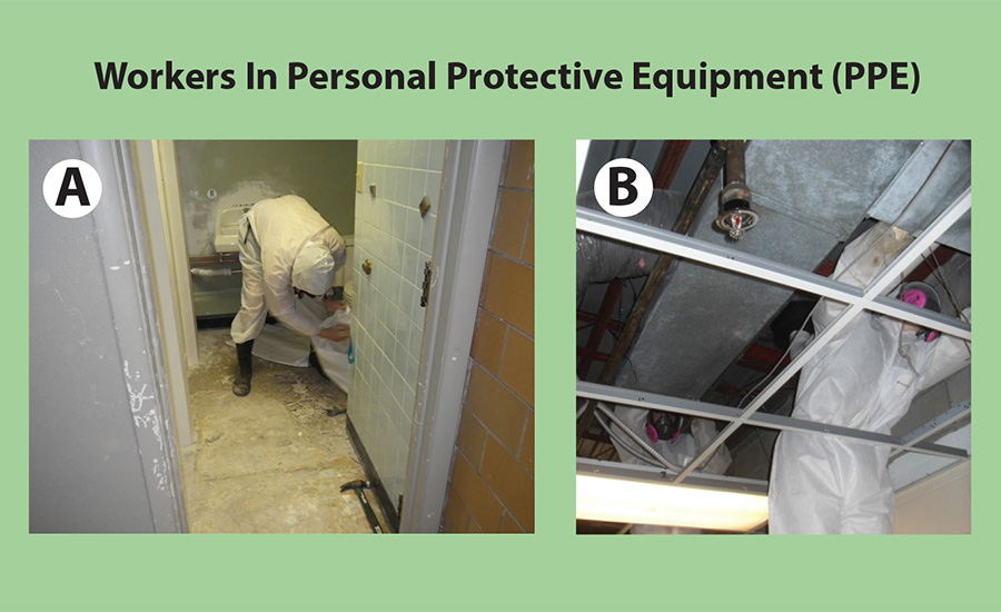 Asbestos abatement technique: personal protective equipment