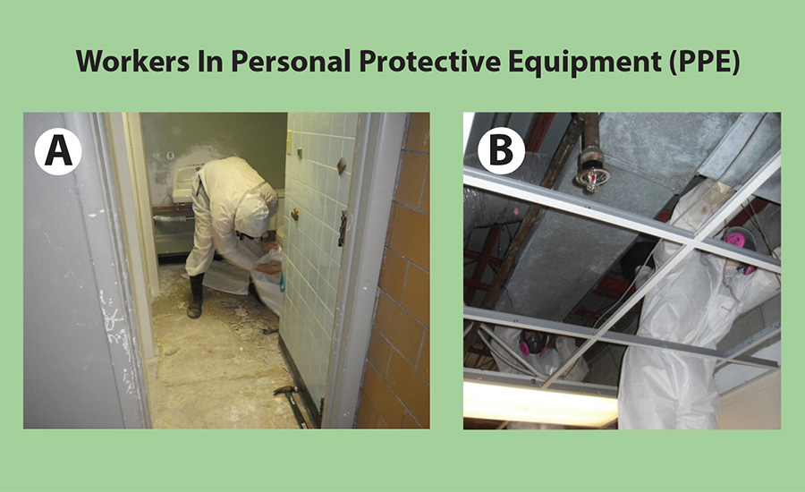 Asbestos abatement professionals