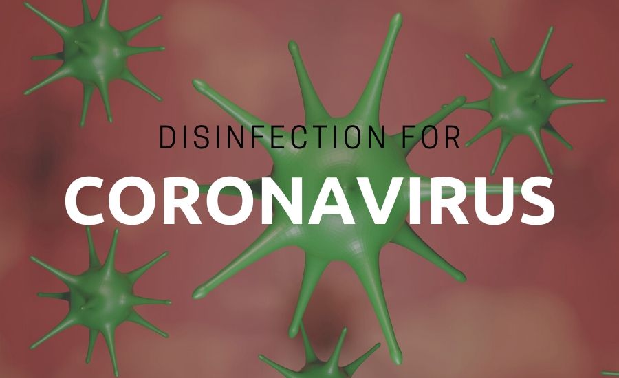 coronavirus disinfection licker