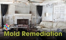 Round Table Mold Remediation