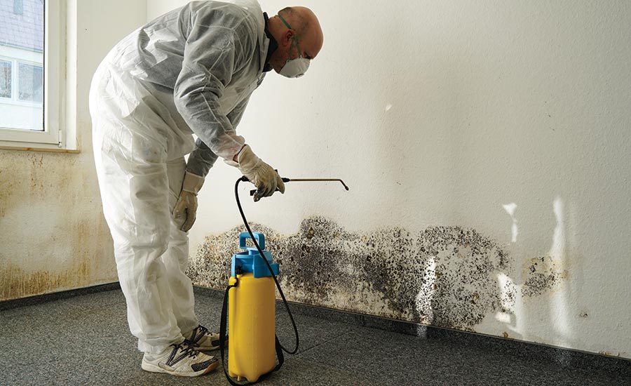 mold remediation