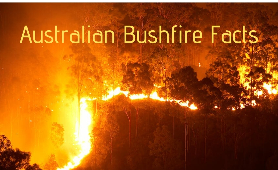 aussie bushfires 2
