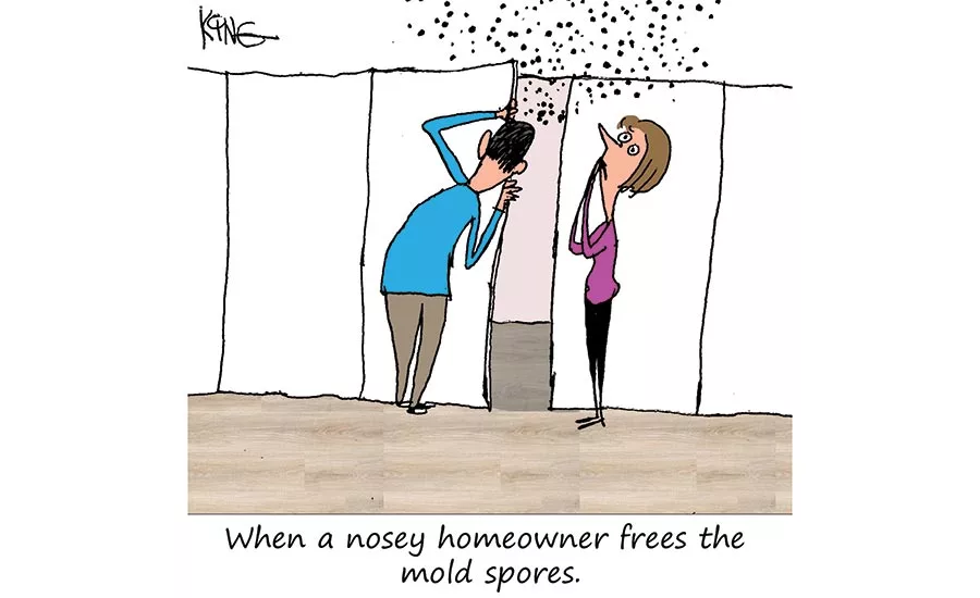 Photos courtesy of Airwall