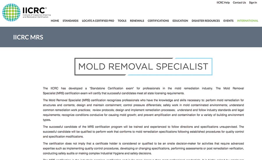 mold removal specialist