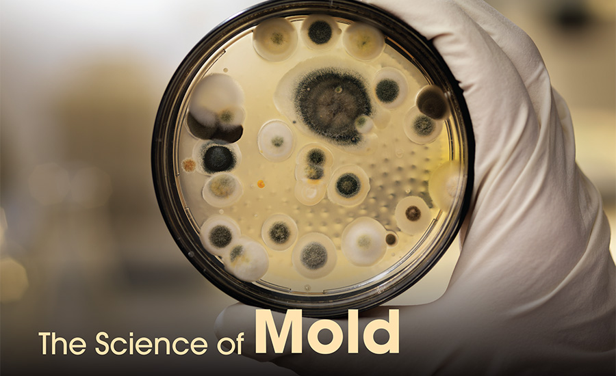 The Science of Mold, 2020-05-07
