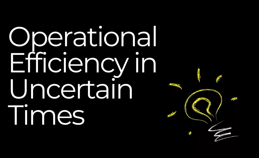 operational efficiency welles