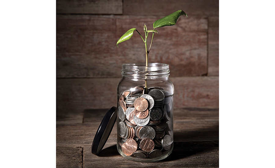 plant in a jar full of coins