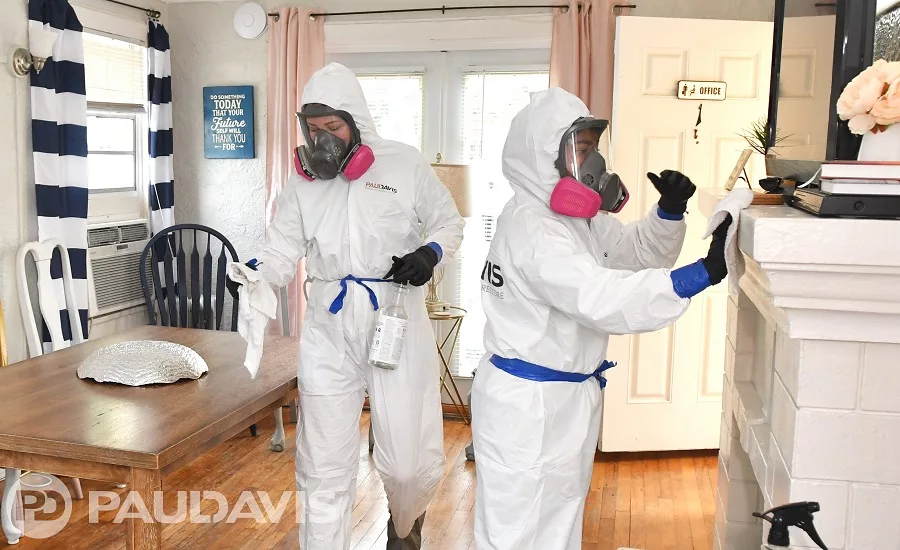 paul davis franchise 500 2020