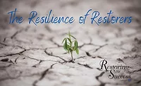 restoring success resilience restoring success resilience
