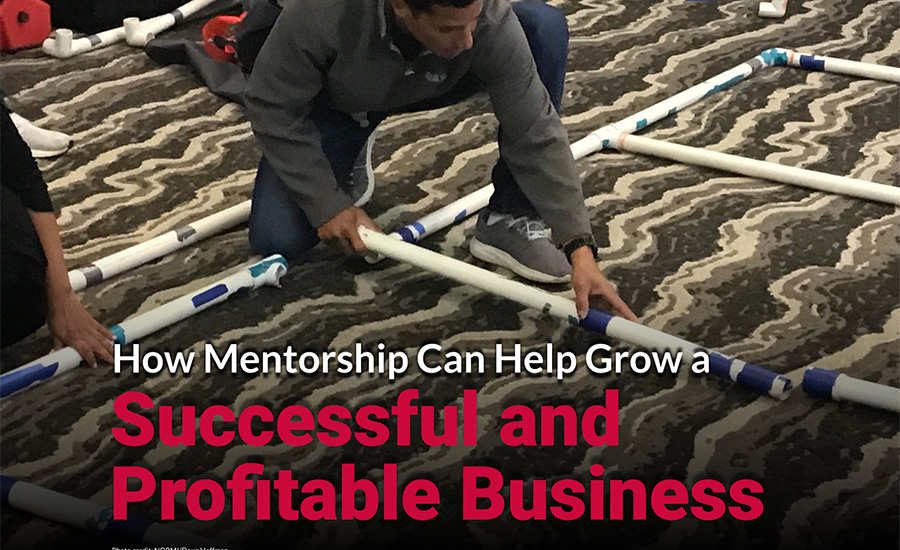 How Mentorship Can Help Grow a Successful and Profitable Business
