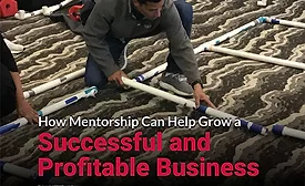 how mentorship can help grow a successful and profitable business