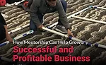 how mentorship can help grow a successful and profitable business