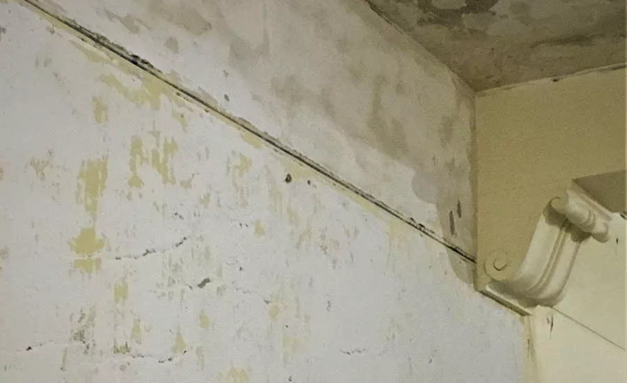 diversifying media blasting services