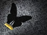 successfully implementing organizational changes successfully implementing organizational changes