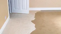 flood house flood house