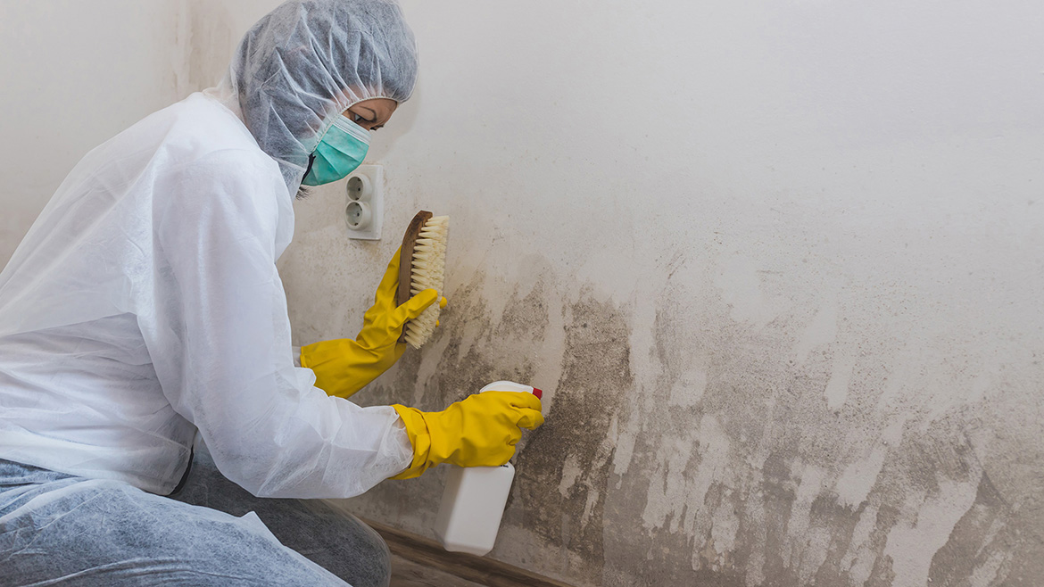 Mold remediation roundtable