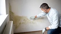 mold/bacteria job site insurance