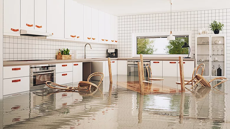 water damage restoration