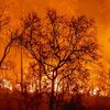 wildfire restoration standard