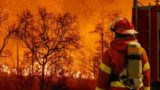 wildfire restoration standard