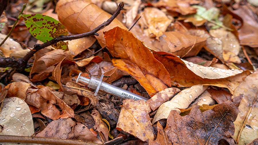 drug needle in a public park