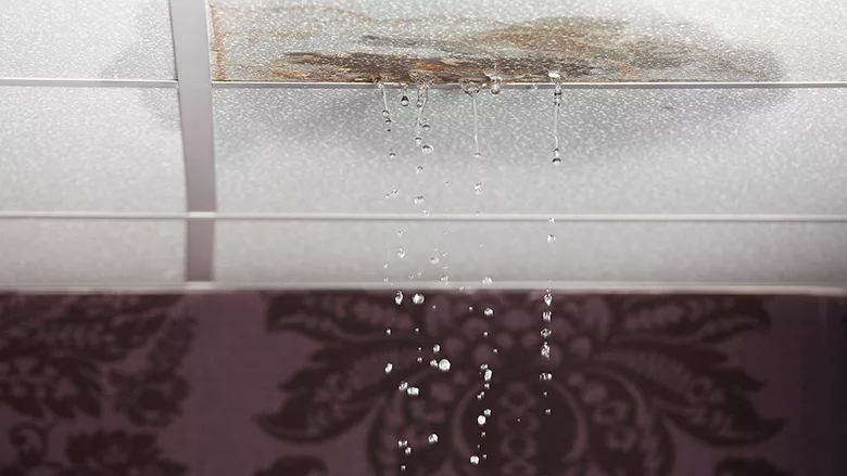 water damage from burst pipes