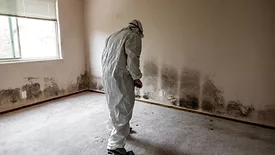 Home Mold Remediation