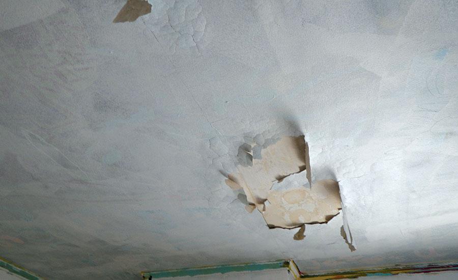 Black Mold  Abestos Removal, Mold Removal, Lead Based Paint Abatement,  Lead Based Paint Remediation5M CONTRACTING, INC.