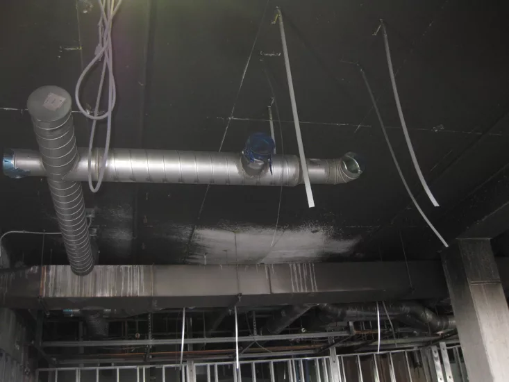 Project #9: Massive Los Angeles Fire Heavily Damages County Health Department