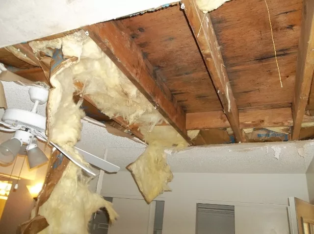 Project #3: 100 Year Rain Damages 126 Apartments