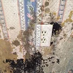 Project #7: Pro Bono Mold Abatement