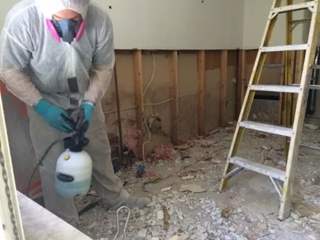 Project #7: Pro Bono Mold Abatement