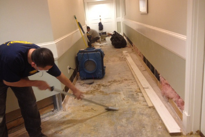 Water Damage Repair Frisco Tx