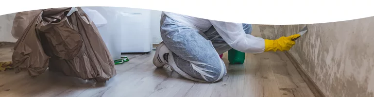 Contamination Restoration & Remediation topic image