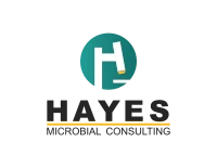 Hayes